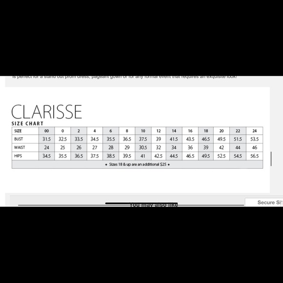 Clarisse Couture Dress 4507 - Picture 10 of 10